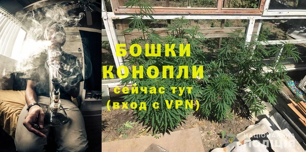 прущие крисы Кулебаки