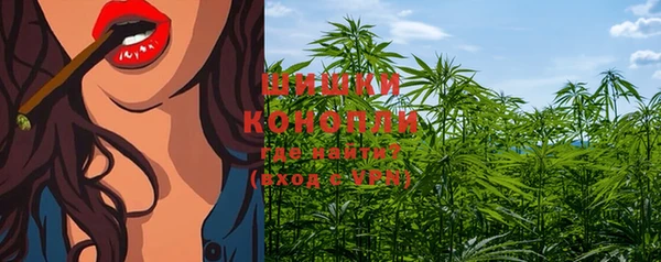 прущие крисы Кулебаки